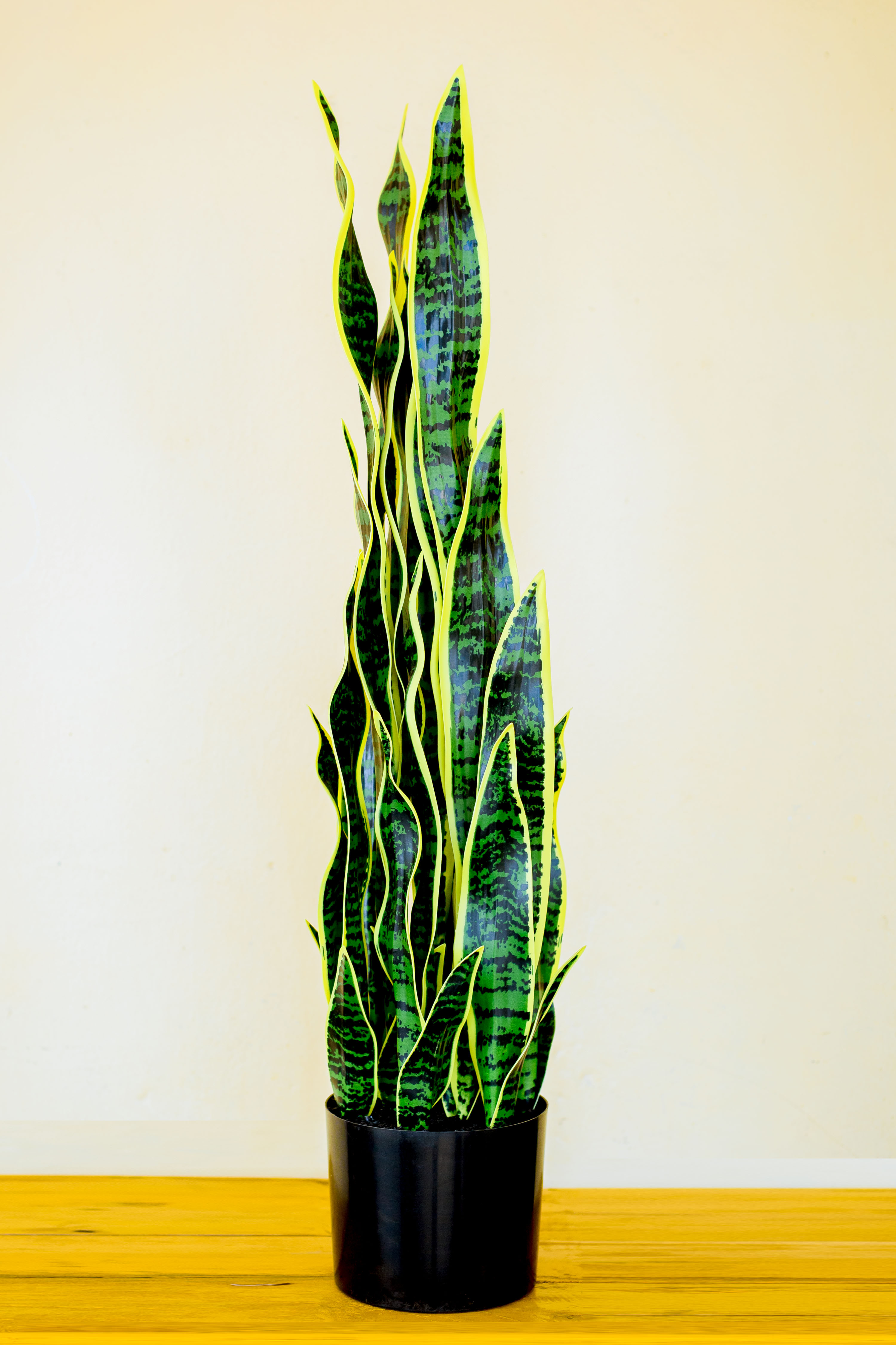 Nature Inspired Décor